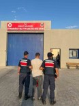 Hirsizlik Suçundan Aranan Sahsi Jandarma Yakaladi Haberi