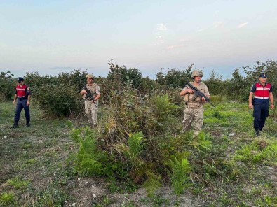 Jandarma Findik Hirsizlarina Karsi Nöbette