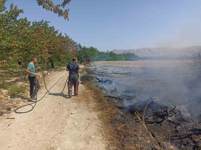 Malatya'da Aniz Ve Bahçe Yanginlari