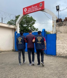 Mardin'de Firari 11 Suçlu Tutuklandi