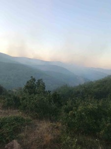 Orman Yanginina Müdahale Eden Operatör Hayatini Kaybetti