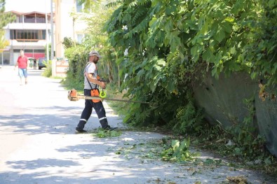 Serdivan'da Yaz Bakimi Devam Ediyor