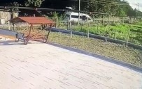 Sinop'taki Feci Motosiklet Kazasi Kamerada Haberi