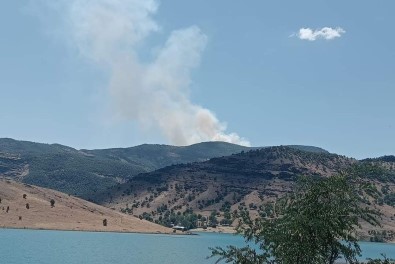 Tunceli'de Orman Yangini