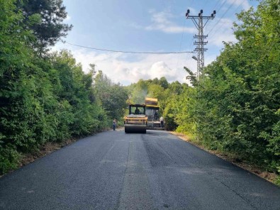 Zonguldak'ta Köy Yolu Çalismalari Tamamlandi