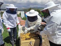 AK Parti Milletvekili Koç, Özel Kiyafetleri Giyip Bal Hasadina Katildi