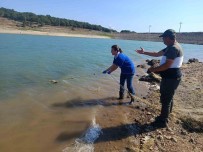 Av Yasagi Kalkti Açiklamasi Gölde Kaçak Ag Bulundu Haberi