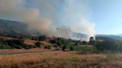 Bingöl'de 1 Haftada Çikan Yanginlarda 7 Hektarlik Alan Yandi