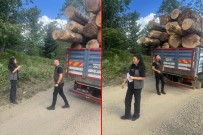 Bolu'da Kaçak Orman Emvaline Geçit Yok Haberi