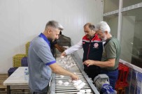 Erzincan'da Tam Otomatik Tesislerde Üretilen Yumurtalar Tarima Deger Katiyor Haberi