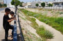 Kilis'te Temizlenmeyen Kanal Boyu Deresi Tehlike Saçiyor Haberi