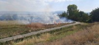 Otluk Alanda Çikan Yangin Korkuttu Haberi