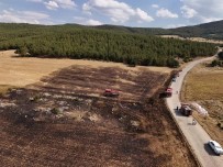 Yozgat'ta Aniz Yangini Ormana Siçramadan Söndürüldü Haberi