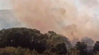 Anizdan Ormana Ve Ayçiçegi Tarlasina Siçrayan Yangin Söndürüldü Haberi