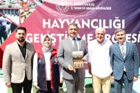 Ari Üreticilerine Ana Ari Dagitildi Haberi
