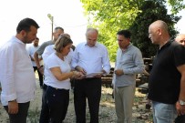 Düzce'deki Antik Yapi Görünür Kilinacak Haberi