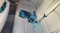 Hayalet Ekran Hirsizligi Açiklamasi Otomobilin Camini Kirip Çaldilar