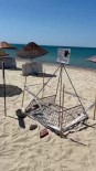 Saros Körfezi'nde Yavru Caretta Carettalara Koruma Haberi