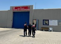 FETÖ'ye Üye Olma Suçundan Aranan Sahsi Jandarma Yakaladi Haberi