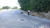 Seyh Edebali Türbesi'nde Kapsamli Temizlik Haberi