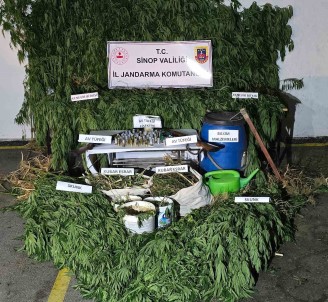 Sinop'ta Uyusturucu Operasyonu Açiklamasi 6,4 Kilo Esrar Ve 521 Kök Kenevir Ele Geçirildi