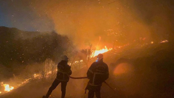 Karşıyaka'da 2 bin 196 hektar alanı kül eden yangını defineciler çıkarmış