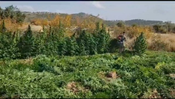 Diyarbakır'da uyuşturucu operasyonu: 36 gözaltı