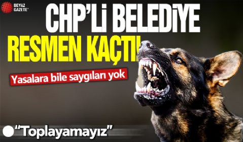 CHP'li belediye resmen kaçtı! Yasalara bile saygıları yok: Toplayamayız...