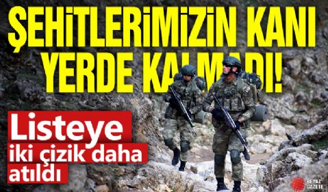 Şehitlerimizin kanı yerde kalmadı! Listeye iki çizik daha atıldı