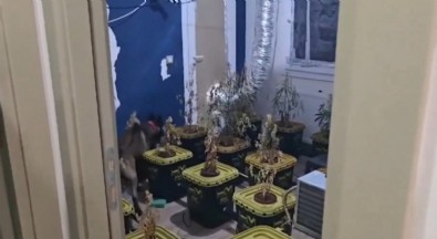 32 ilde Narkoçelik-40 operasyonu: 125 şüpheli yakalandı