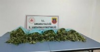 Zehir tacirlerine geçit yok! Ankara'da narkotik operasyonu: 25 kilogram kubar esrar ele geçirildi