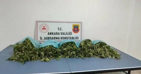 Zehir tacirlerine geçit yok! Ankara'da narkotik operasyonu: 25 kilogram kubar esrar ele geçirildi