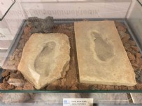 4 bin 500 yıllık... Baraj yapımında keşfedildi!