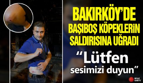 Bakırköy'de başıboş köpeklerin saldırısına uğradı: Lütfen sesimizi duyun