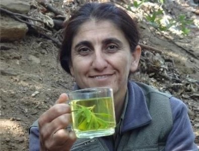 MİT'ten nokta operasyon: Terör örgütünün sözde İran sorumlusu etkisiz hale getirildi