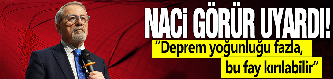 Naci Görür'den uyarı: Deprem yoğunluğu fazla, bu fay kırılabilir