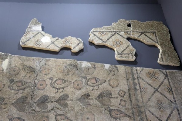 Sivas'ta bir ahırda bulundu! 22 yıldır çıkarılmayı bekliyor