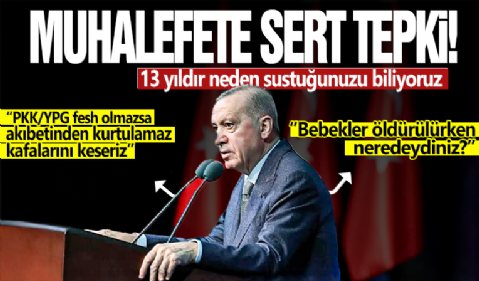 Cumhurbaşkanı Erdoğan'dan CHP'ye 'Suriye' tepkisi: Bebekler ölürken neredeydiniz!