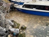 Marmara'nın kabusu geri döndü! Denizin üstü beyaz tabakayla kaplandı! En son 2021'de görülmüştü... Haberi