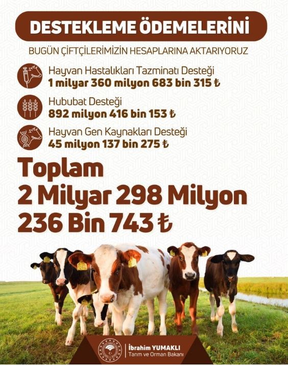 Bakan açıkladı... 2.3 milyar TL hesaplara yattı