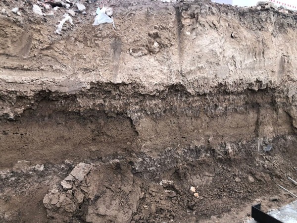 Kahramanmaraş'ta inşaat alanında kemik kalıntıları bulundu