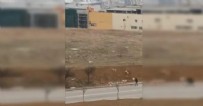 Ankara’da başıboş köpek terörü: Kaldırımda yürüyen vatandaşa köpek sürüsü saldırdı! Haberi