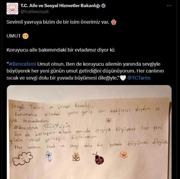 Havalimanında ele geçirilen yavru gorile 20 binin üzerinde isim önerisi