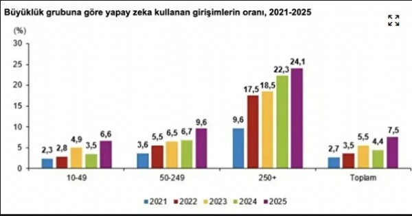 TÜİK Açıkladı ' Yapay Zekayı En Fazla Kim Kullandı ? '