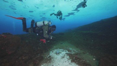 Bilim dünyası harekete geçti! Hızla yayılan tehlike