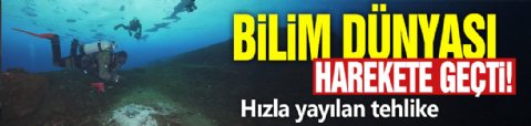 Bilim dünyası harekete geçti! Hızla yayılan tehlike