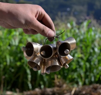 Gümüşhane'den Avrupa'ya!