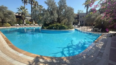 Kuraklığa İlginç Çözüm!