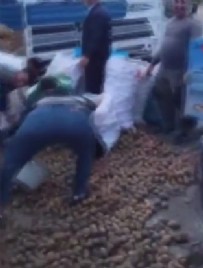  ÜCRETSİZ - Patatesleri Ücretsiz Dağıttı!