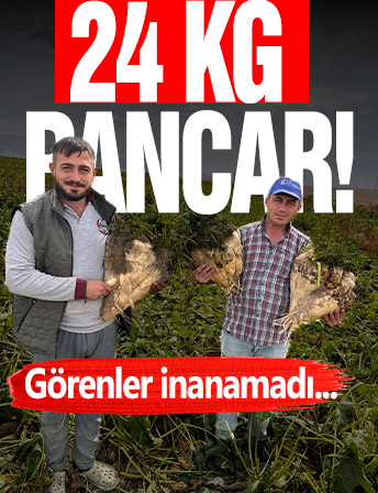 24 KG Pancar Görenleri Şaşırttı!
